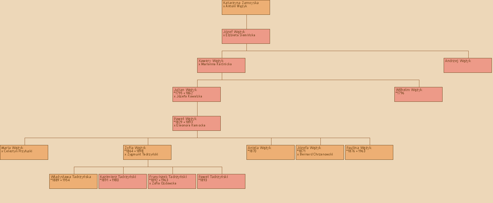 Drzewo genealogiczne - Katarzyna Zamoyska