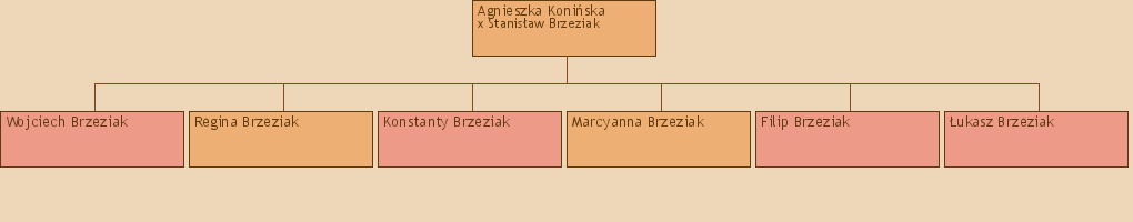 Drzewo genealogiczne - Agnieszka Koniska